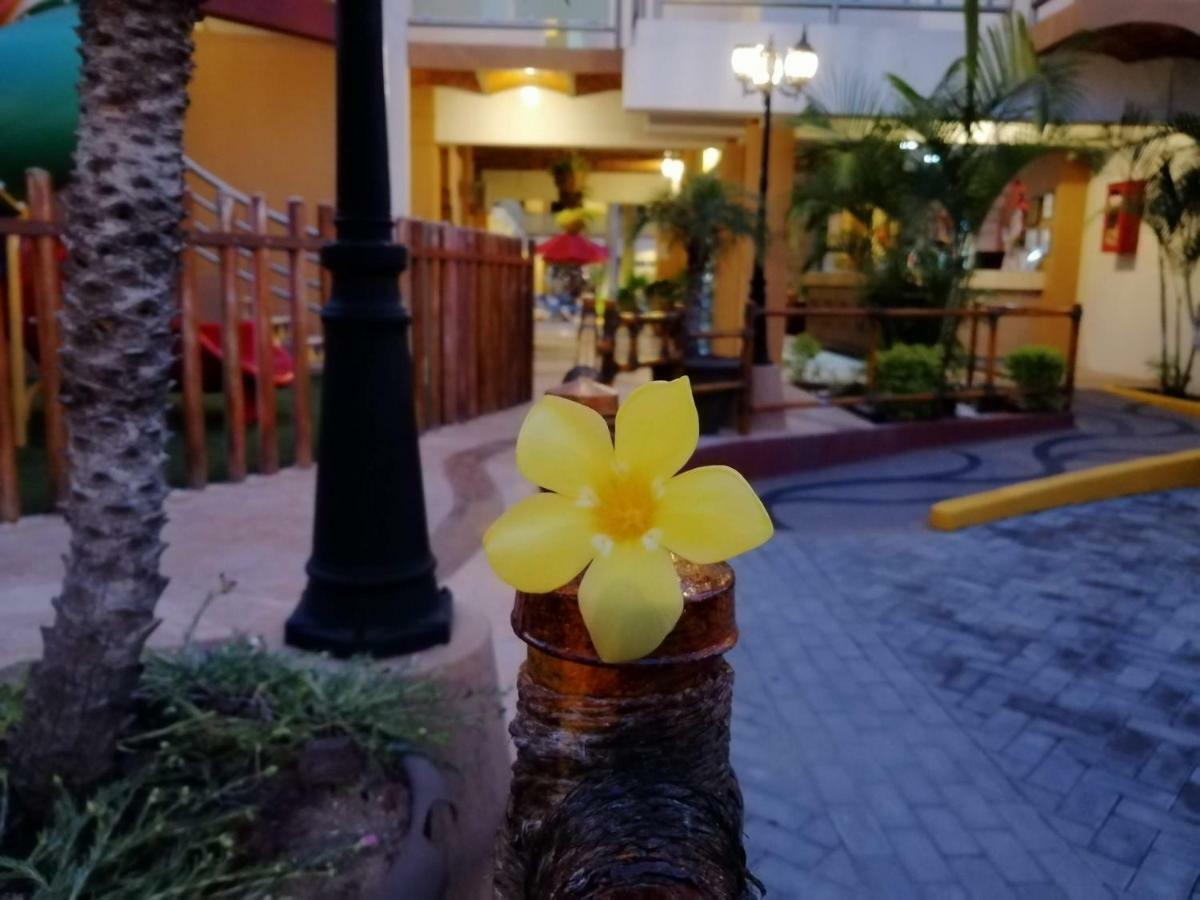 Marysol Las Palmas Ринкон де Гуаябитос Екстериор снимка